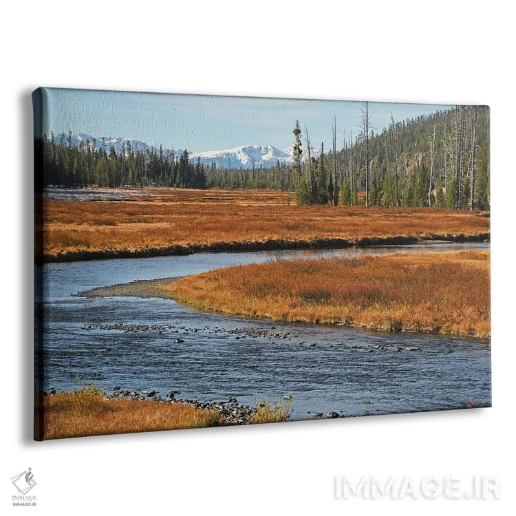 تابلو رود لوییس اثر برایان ولف - نمای پرسپکتیو محصول