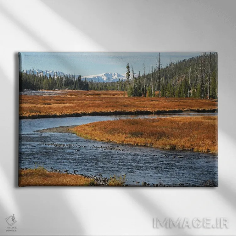 تابلو رود لوییس اثر برایان ولف - نمای روبهرو روی دیوار