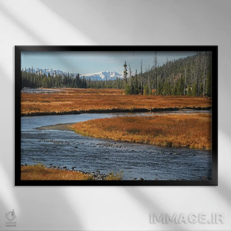 تابلو رود لوییس اثر برایان ولف - نمای قابدار مشکی