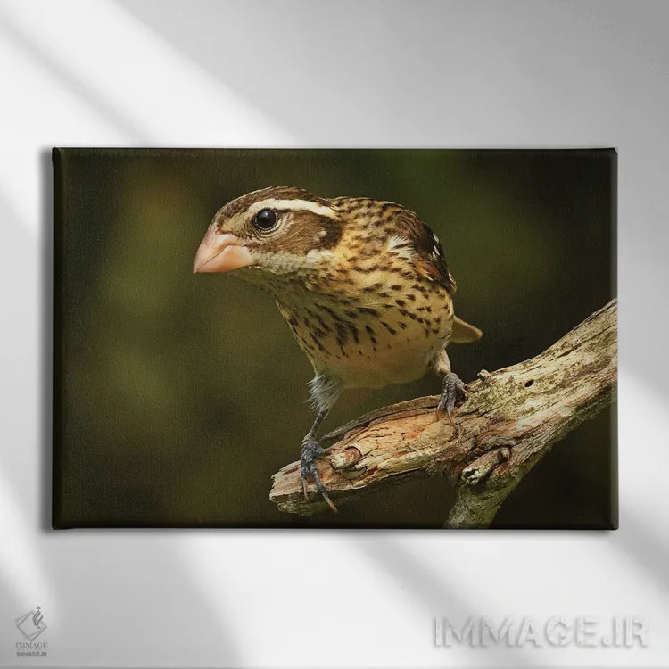 تابلو سبدک سینهصورتی ماده اثر برایان ولف - نمای روبهرو روی دیوار