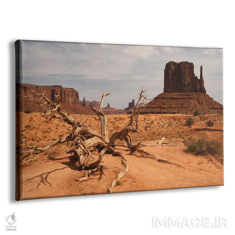 تابلو دستکش غربی (صخره معروف) اثر برایان ولف - نمای پرسپکتیو محصول