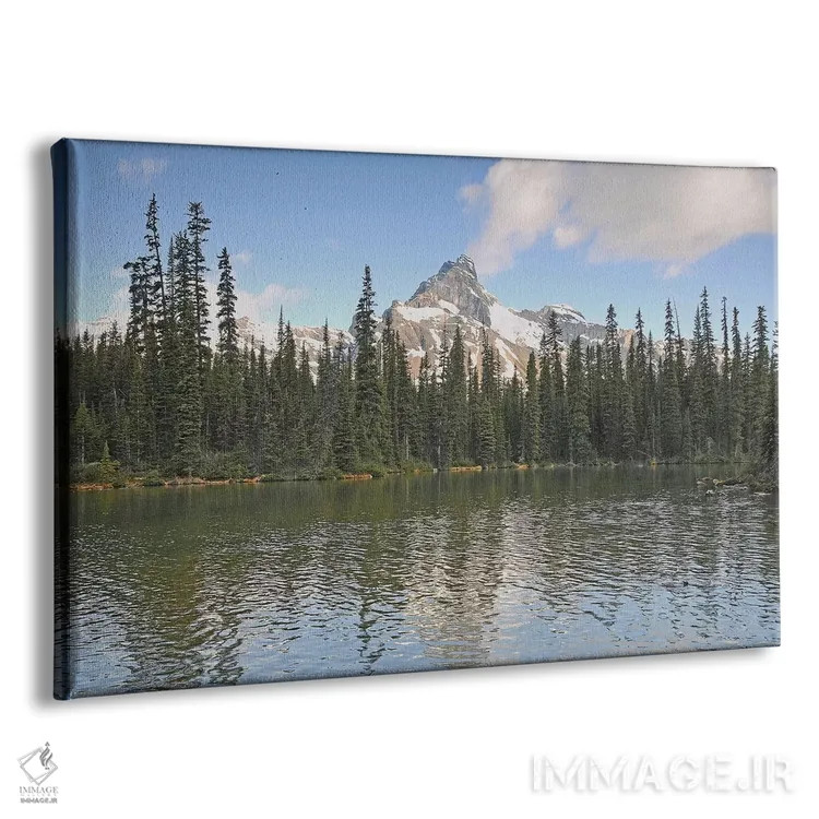 تابلو کوه کلیسای جامع اثر برایان ولف - نمای پرسپکتیو محصول