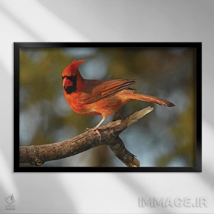 تابلو کارباورال (پرنده) اثر برایان ولف - نمای قابدار مشکی