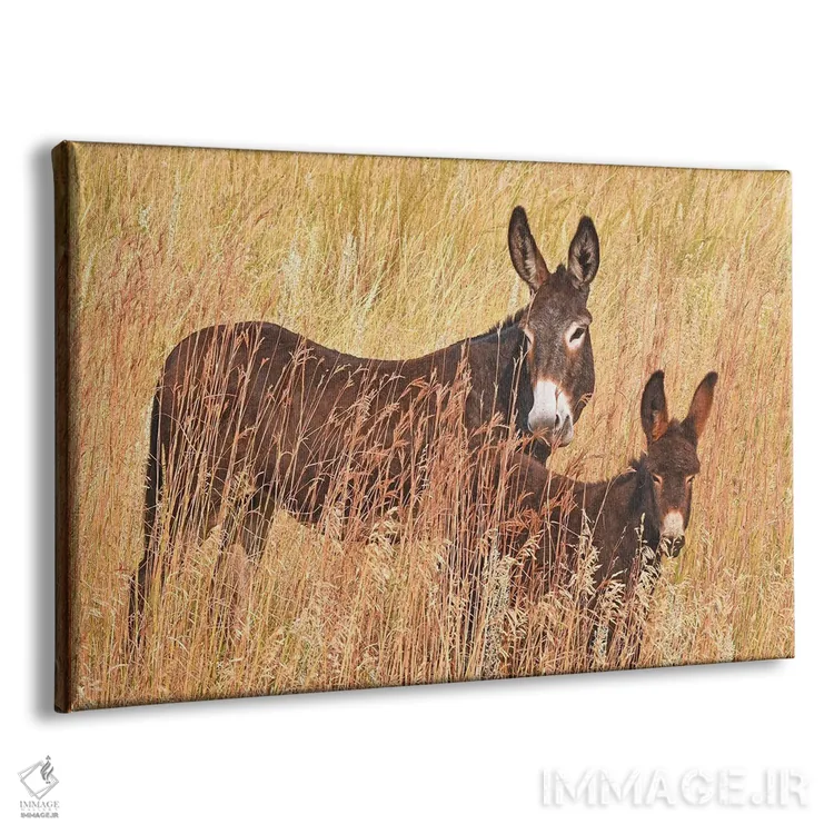 تابلو الاغ وحشی و کرهاسب اثر برایان ولف - نمای پرسپکتیو محصول