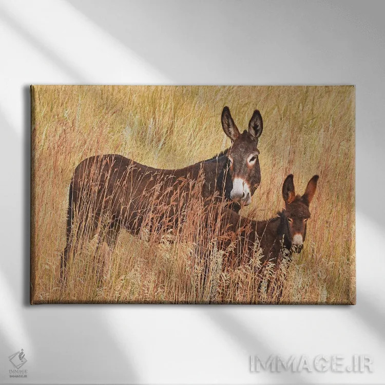 تابلو الاغ وحشی و کرهاسب اثر برایان ولف - نمای روبهرو روی دیوار