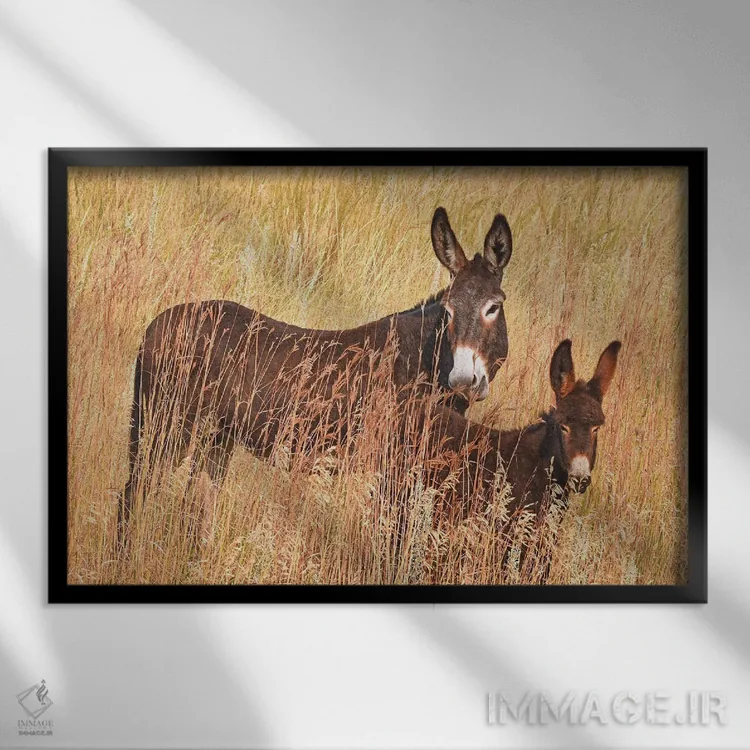 تابلو الاغ وحشی و کرهاسب اثر برایان ولف - نمای قابدار مشکی