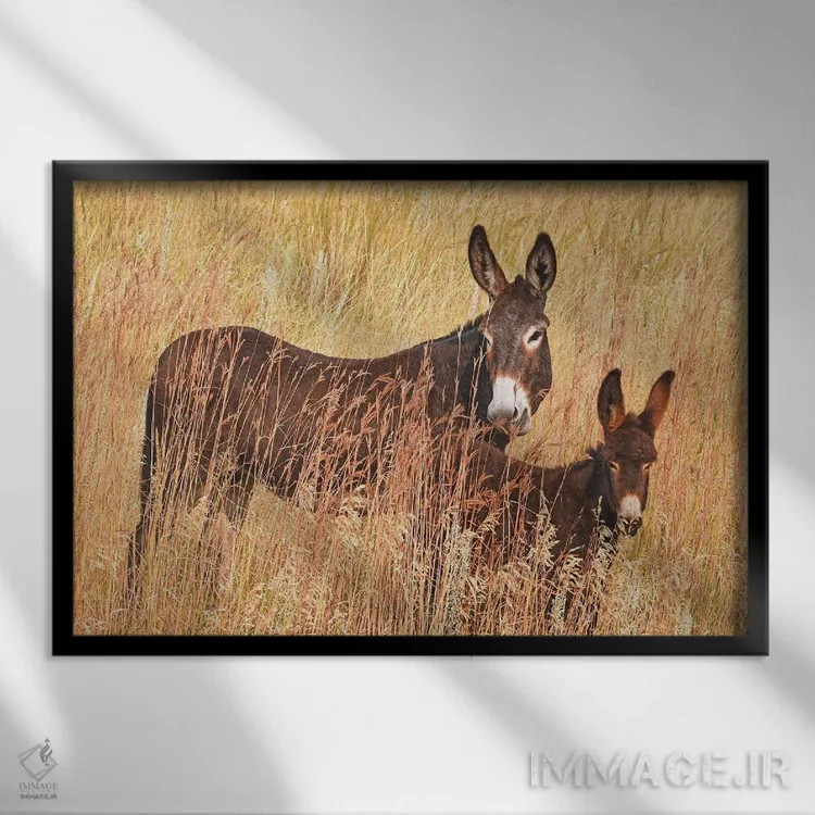 تابلو الاغ وحشی و کرهاسب اثر برایان ولف - نمای قابدار مشکی