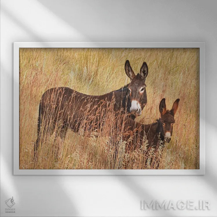 تابلو الاغ وحشی و کرهاسب اثر برایان ولف - نمای قابدار سفید