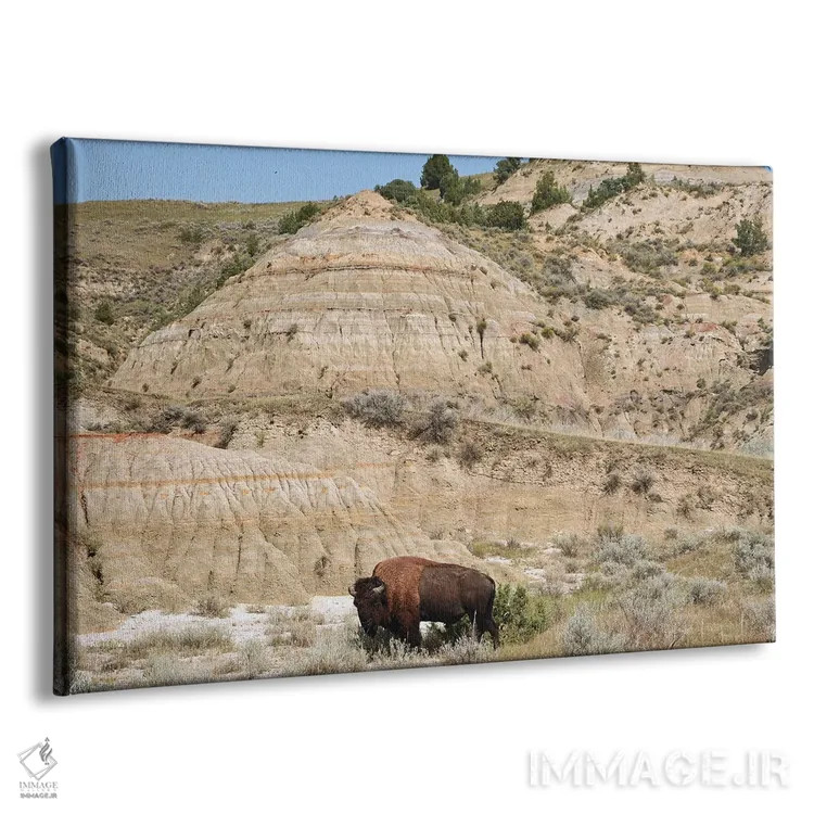 تابلو بوفالو و بدلندز اثر برایان ولف - نمای پرسپکتیو محصول