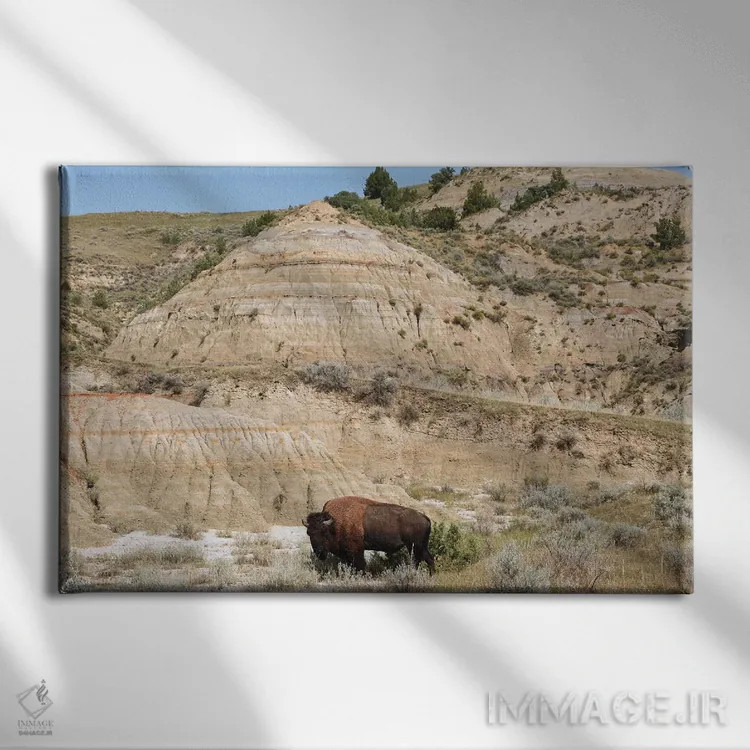 تابلو بوفالو و بدلندز اثر برایان ولف - نمای روبهرو روی دیوار