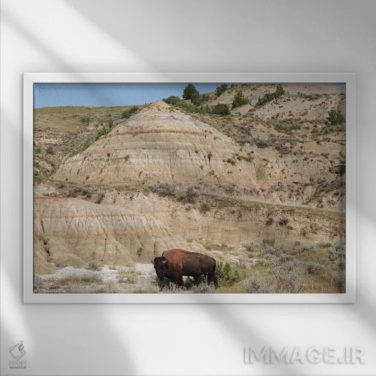 تابلو بوفالو و بدلندز اثر برایان ولف - نمای قابدار سفید