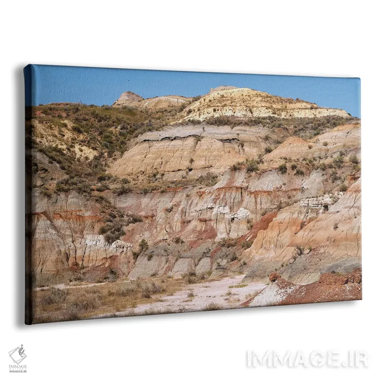 تابلو رنگهای پارک ملی تئودور روزولت اثر برایان ولف - نمای پرسپکتیو محصول