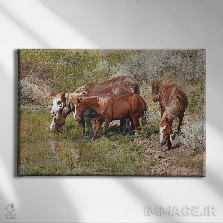 تابلو گروه اسبهای وحشی اثر برایان ولف - نمای روبهرو روی دیوار