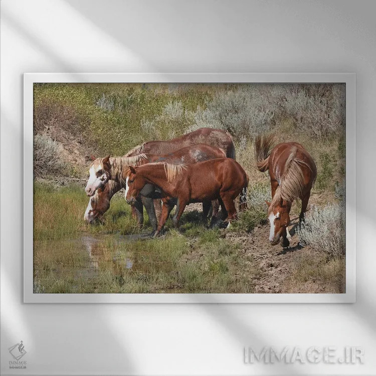 تابلو گروه اسبهای وحشی اثر برایان ولف - نمای قابدار سفید