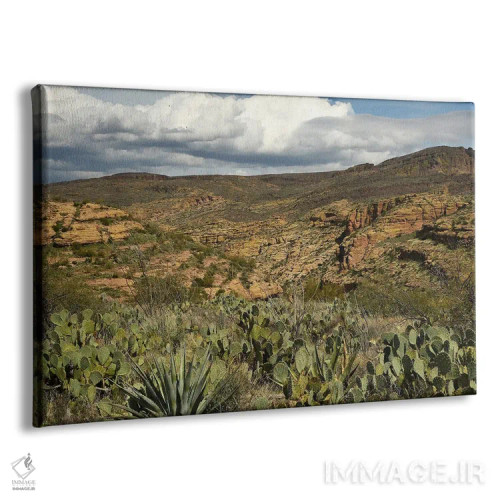 تابلو کاکتوس و کوهها اثر برایان ولف - نمای پرسپکتیو محصول