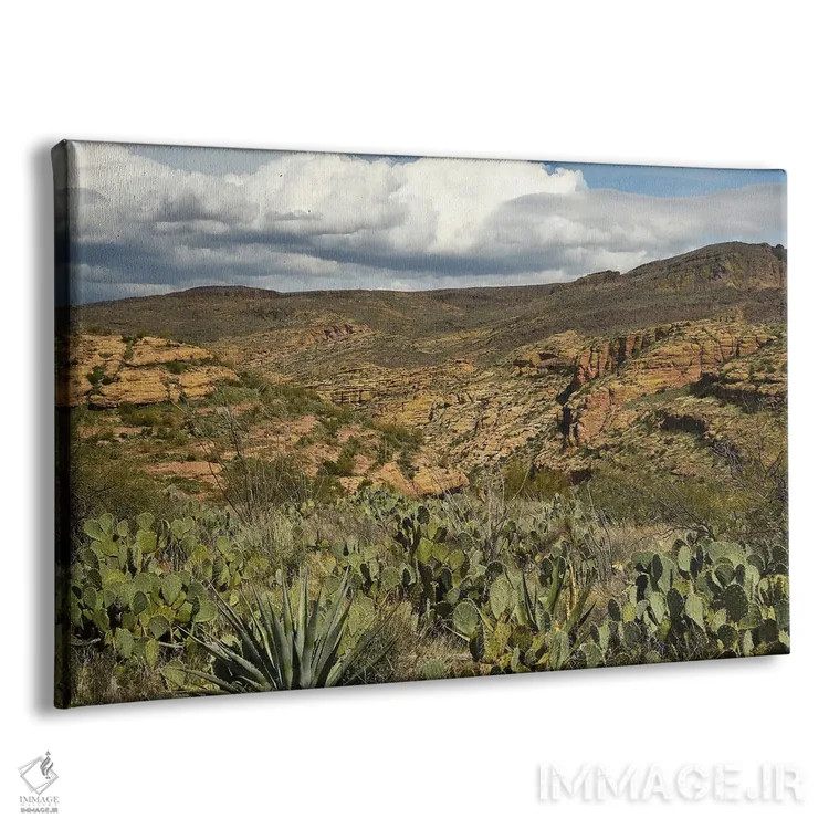 تابلو کاکتوس و کوهها اثر برایان ولف - نمای پرسپکتیو محصول