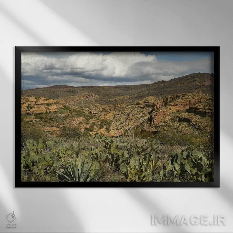 تابلو کاکتوس و کوهها اثر برایان ولف - نمای قابدار مشکی