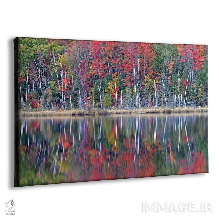 تابلو بازتابهای دریاچهٔ کنسیل اثر برایان ولف - نمای پرسپکتیو محصول