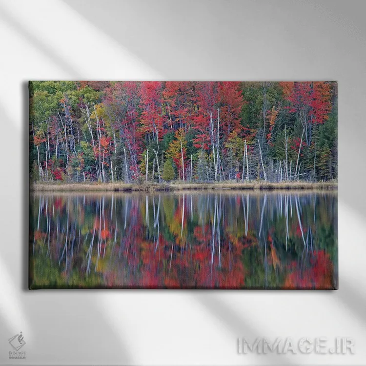 تابلو بازتابهای دریاچهٔ کنسیل اثر برایان ولف - نمای روبهرو روی دیوار