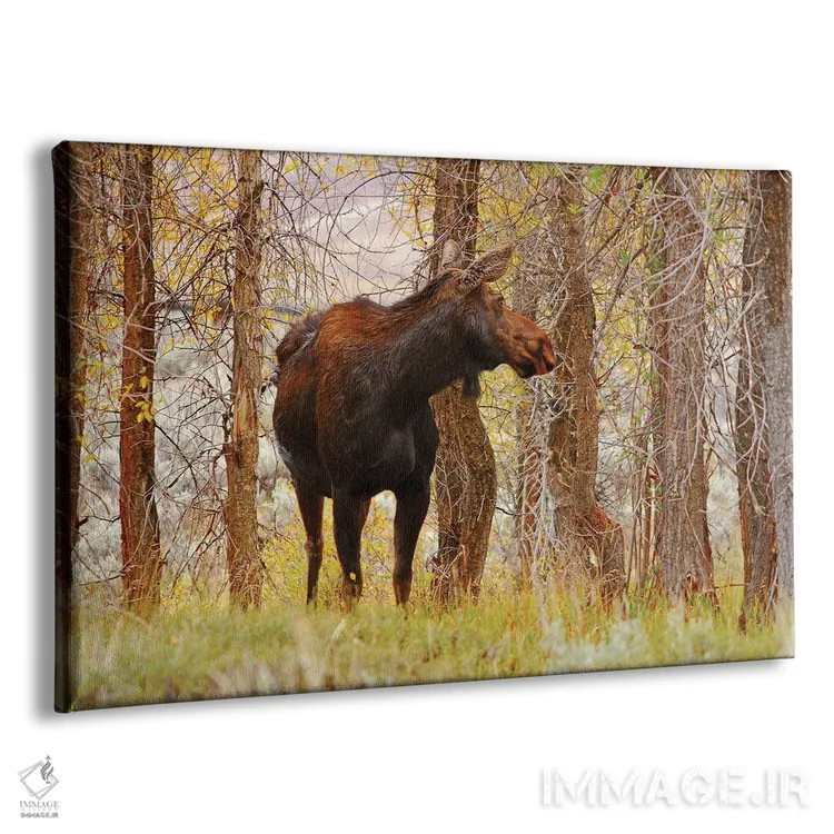 تابلو گاو موس (مادهٔ موس) اثر برایان ولف - نمای پرسپکتیو محصول