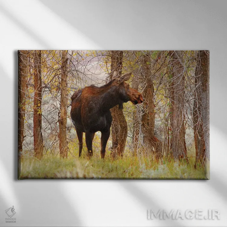 تابلو گاو موس (مادهٔ موس) اثر برایان ولف - نمای روبهرو روی دیوار