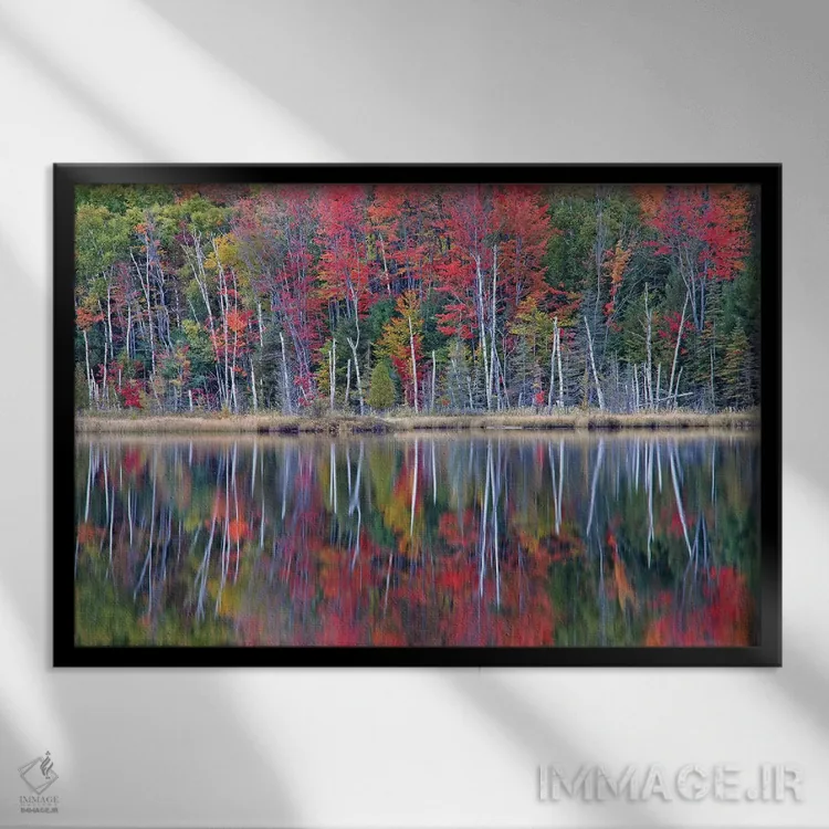 تابلو بازتابهای دریاچهٔ کنسیل اثر برایان ولف - نمای قابدار مشکی