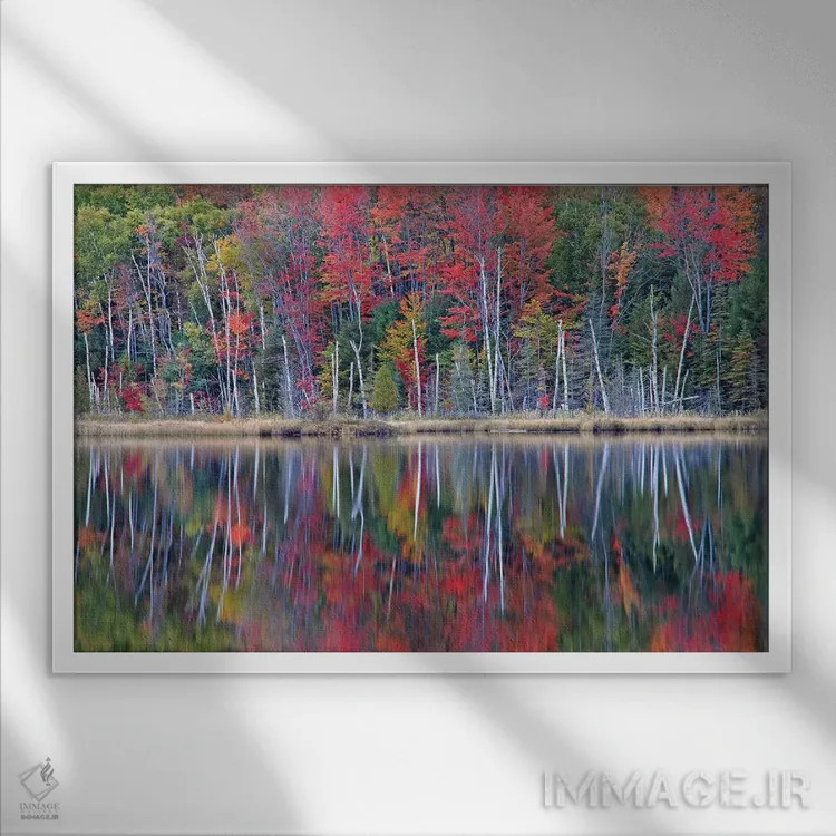 تابلو بازتابهای دریاچهٔ کنسیل اثر برایان ولف - نمای قابدار سفید