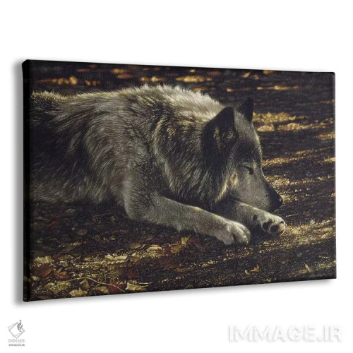 تابلو گرگ آرام اثر کالین بوگل - نمای پرسپکتیو محصول