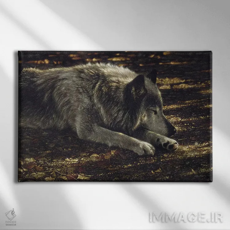 تابلو گرگ آرام اثر کالین بوگل - نمای روبهرو روی دیوار