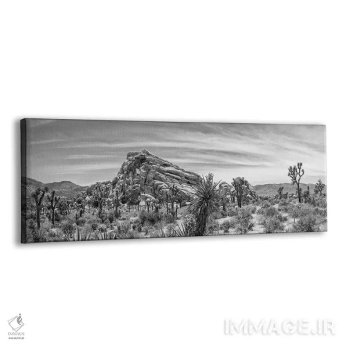 تابلو تشکیل مونزوگرانیت اثر ملانی ویولا - نمای پرسپکتیو محصول