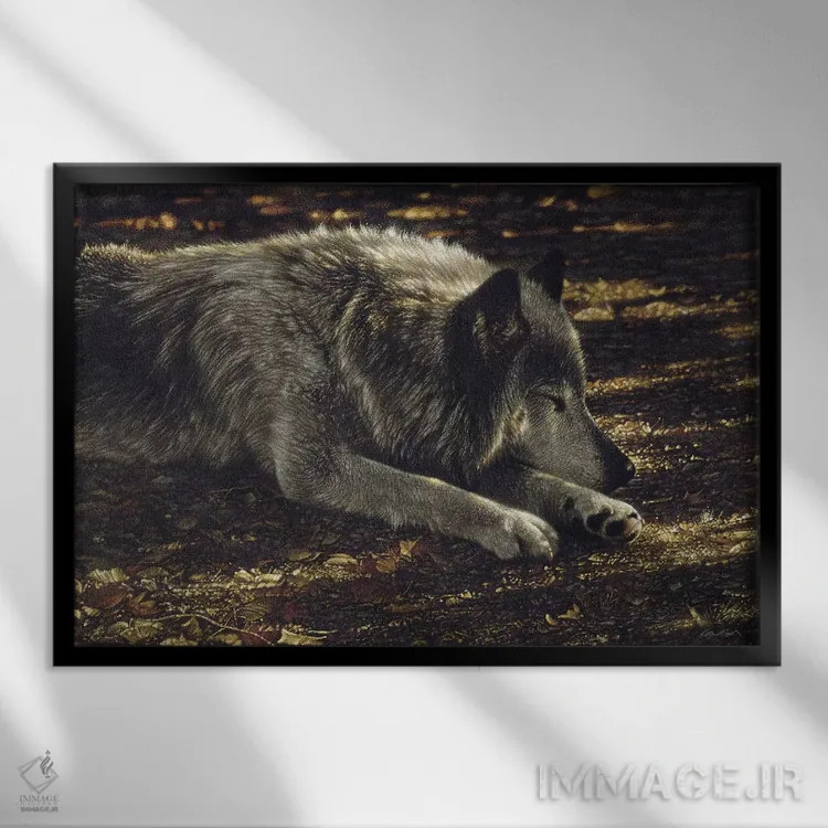 تابلو گرگ آرام اثر کالین بوگل - نمای قابدار مشکی