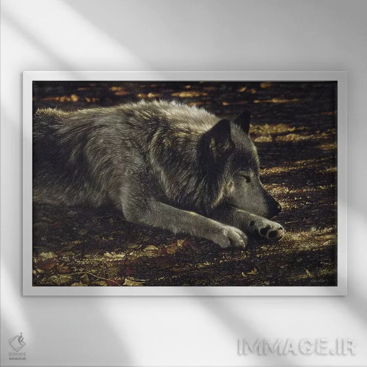 تابلو گرگ آرام اثر کالین بوگل - نمای قابدار سفید