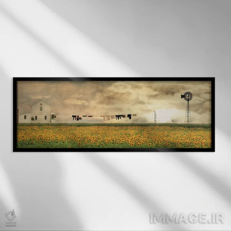 تابلو روز شستشو اثر لری دیتِر - نمای قابدار مشکی