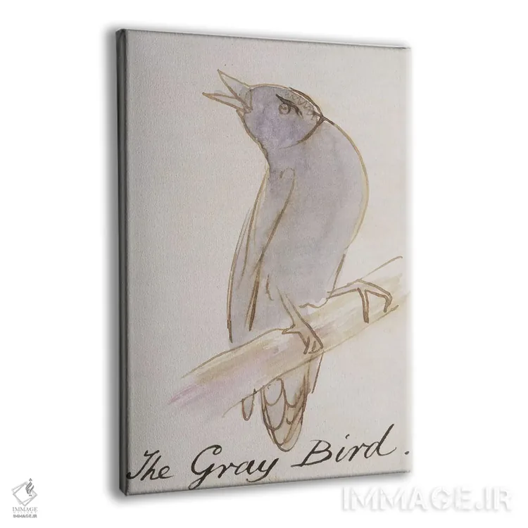 تابلو from 'Sixteen Drawings of Comic Birds',پرنده خاکستری، از "شانزده طرح پرندگان طنزآمیز" اثر ادوارد لیر (شاعر و تصویرگر انگلیسی) - نمای پرسپکتیو محصول