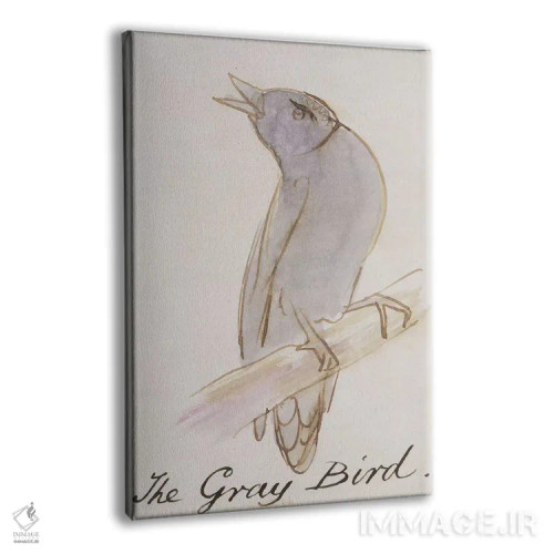 تابلو from 'Sixteen Drawings of Comic Birds',پرنده خاکستری، از "شانزده طرح پرندگان طنزآمیز" اثر ادوارد لیر (شاعر و تصویرگر انگلیسی) - نمای پرسپکتیو محصول