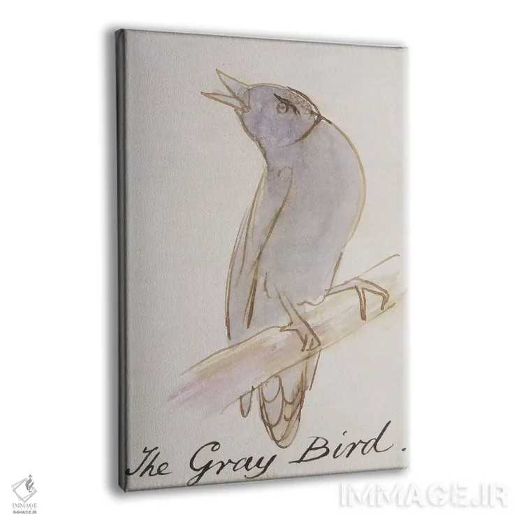 تابلو from 'Sixteen Drawings of Comic Birds',پرنده خاکستری، از "شانزده طرح پرندگان طنزآمیز" اثر ادوارد لیر (شاعر و تصویرگر انگلیسی) - نمای پرسپکتیو محصول