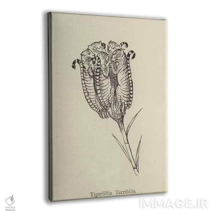 تابلو تایگرلیلیا ترابیلیس (گونه گیاهی) اثر ادوارد لیر (شاعر و تصویرگر انگلیسی) - نمای پرسپکتیو محصول