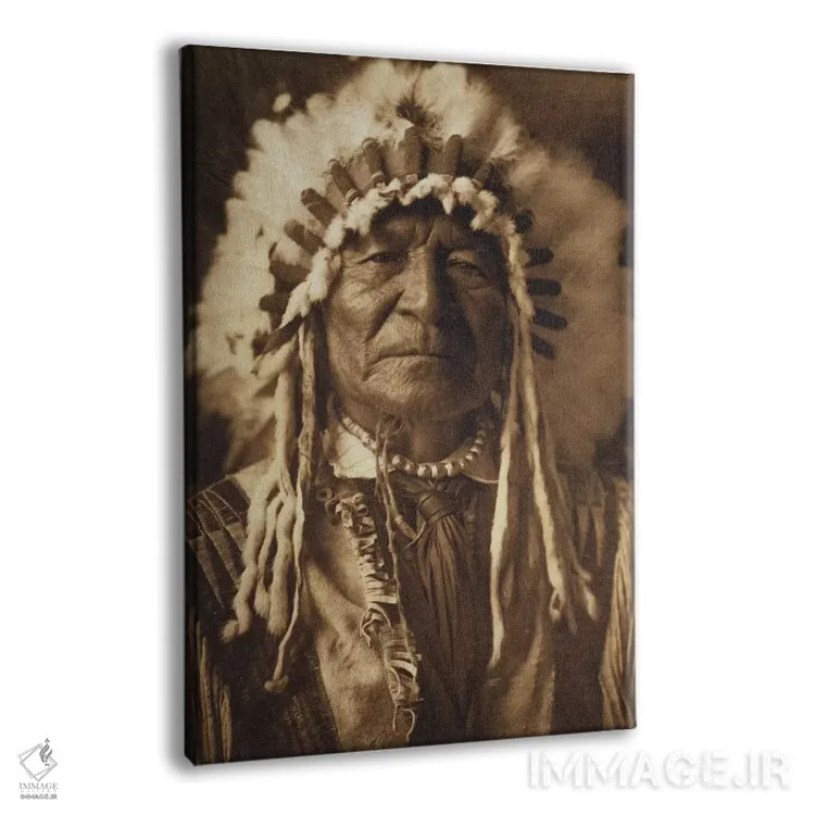 تابلو خرس نشسته اثر ادوارد شریـف کرتیس (عکاس پرتره بومیان آمریکا) - نمای پرسپکتیو محصول