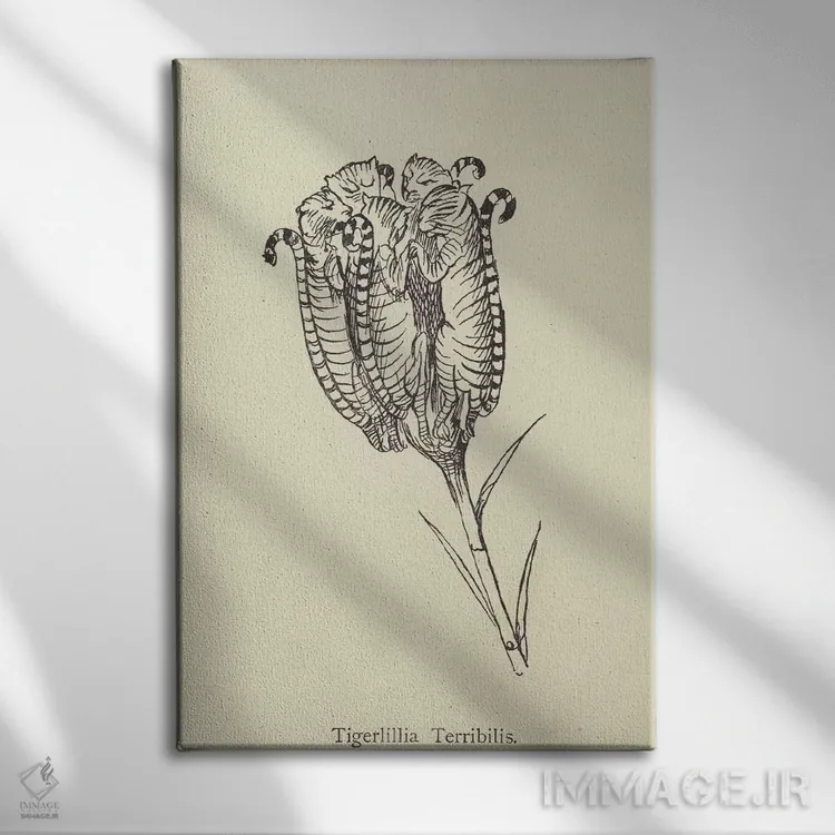 تابلو تایگرلیلیا ترابیلیس (گونه گیاهی) اثر ادوارد لیر (شاعر و تصویرگر انگلیسی) - نمای روبهرو روی دیوار