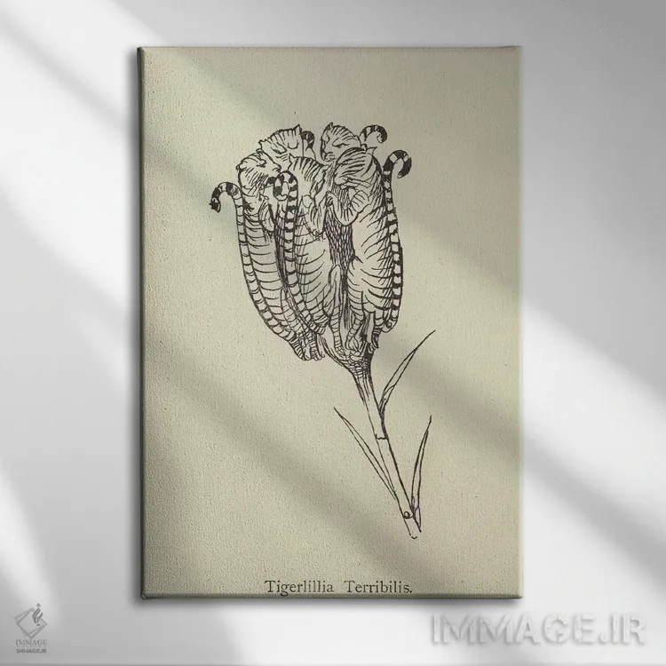 تابلو تایگرلیلیا ترابیلیس (گونه گیاهی) اثر ادوارد لیر (شاعر و تصویرگر انگلیسی) - نمای روبهرو روی دیوار