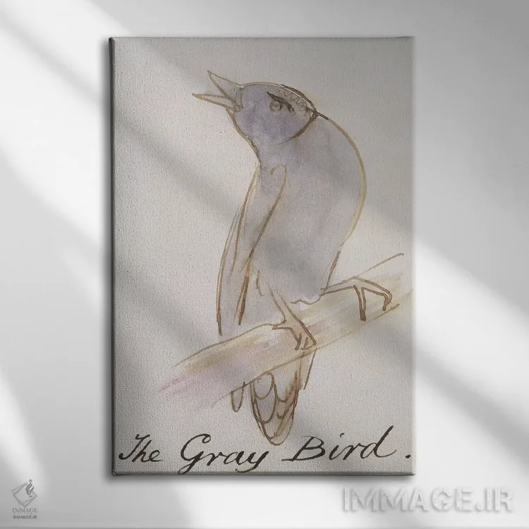 تابلو from 'Sixteen Drawings of Comic Birds',پرنده خاکستری، از "شانزده طرح پرندگان طنزآمیز" اثر ادوارد لیر (شاعر و تصویرگر انگلیسی) - نمای روبهرو روی دیوار