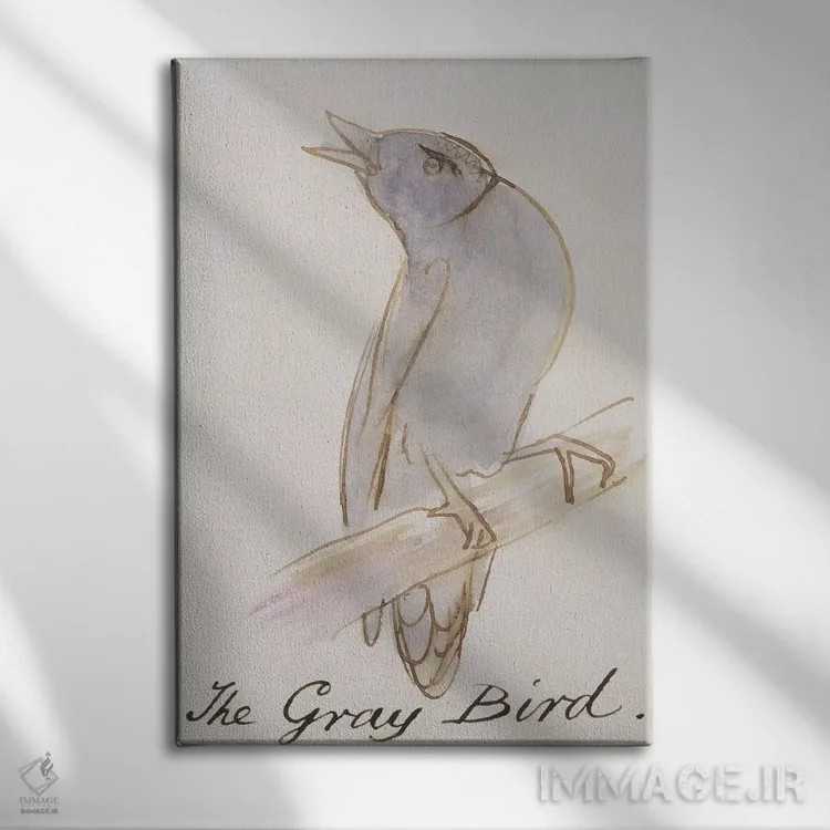 تابلو from 'Sixteen Drawings of Comic Birds',پرنده خاکستری، از "شانزده طرح پرندگان طنزآمیز" اثر ادوارد لیر (شاعر و تصویرگر انگلیسی) - نمای روبهرو روی دیوار