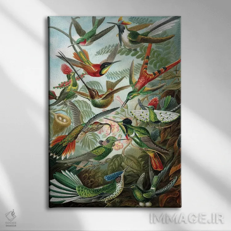تابلو 'Kunstformen der Natur', 1899,نمونهای از خانوادهٔ Trochilidae، "اشکال هنری طبیعت"، ۱۸۹۹ اثر ارنست هکل (زیستشناس و تصویرگر آلمانی) - نمای روبهرو روی دیوار
