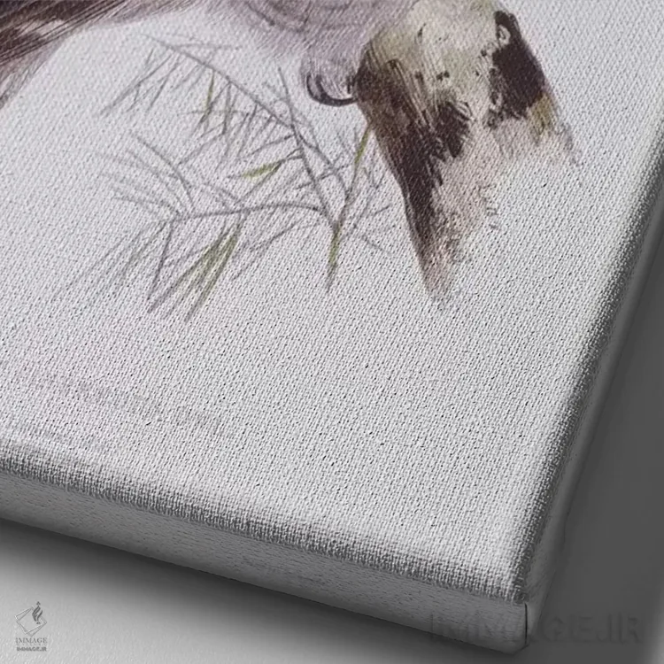 تابلو from 'The Birds of Great Britain', published London, 1862-73,جغد بزرگ خاکستری از کتاب "پرندگان بریتانیا"، لندن، ۱۸۶۲-۱۸۷۳ اثر جان گولد - نمای نزدیک بافت بوم