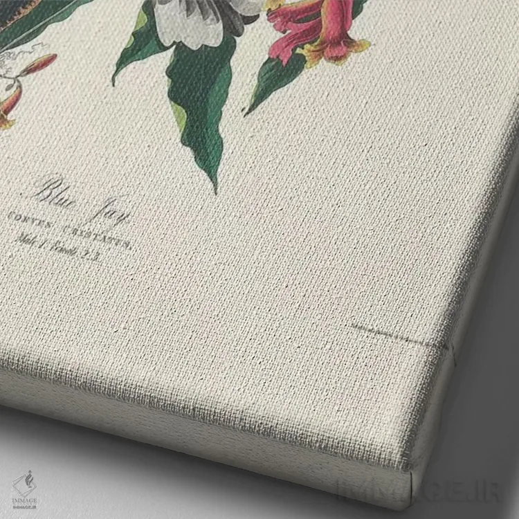 تابلو 1831,جی آبی، ۱۸۳۱ اثر جان جیمز آدوبون (نقاش و پرندهشناس) - نمای نزدیک بافت بوم