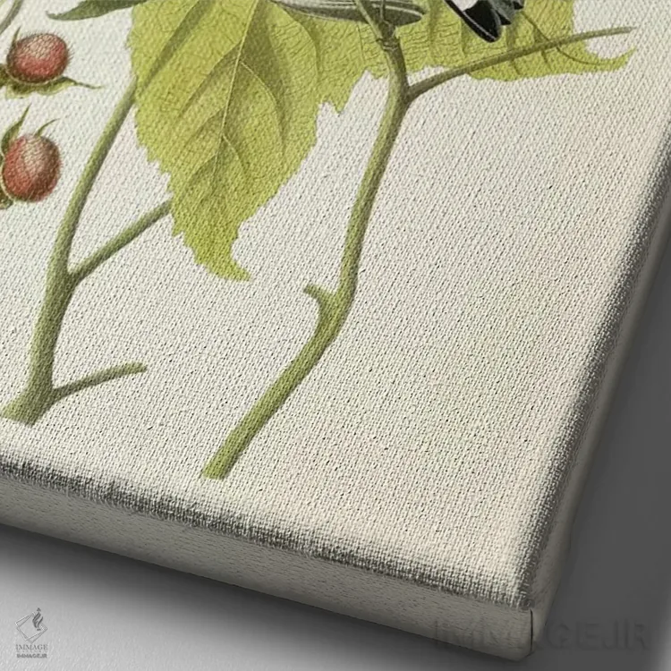 تابلو c.1826-1838,پرنده سسک سیاه و زرد و تمشک گلدار، حدود ۱۸۲۶-۱۸۳۸ اثر جان جیمز آدوبون (نقاش و پرندهشناس) - نمای نزدیک بافت بوم