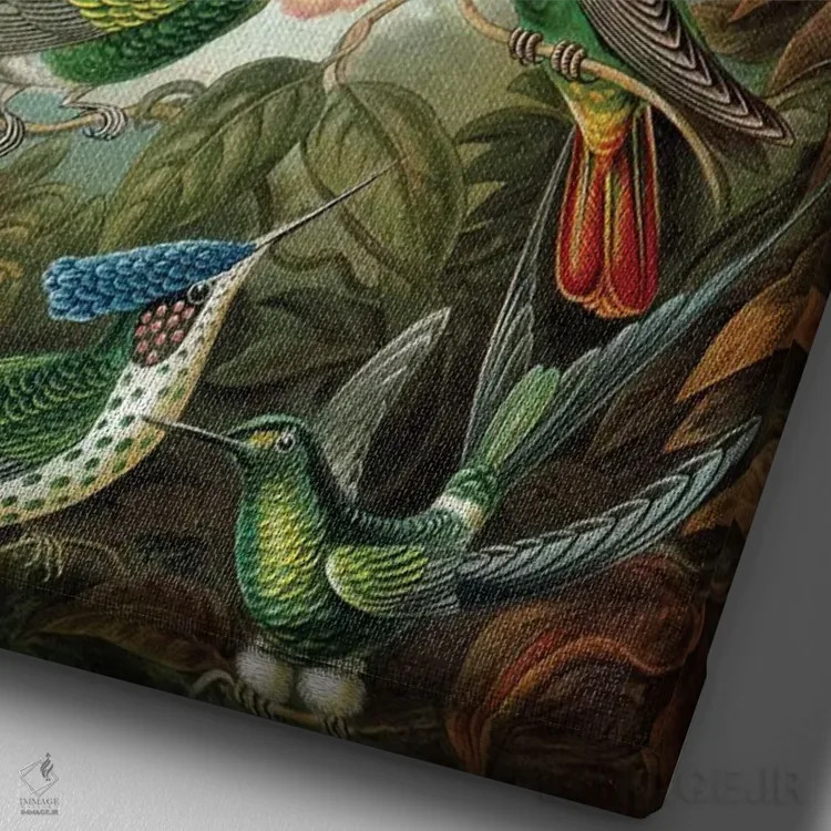 تابلو 'Kunstformen der Natur', 1899,نمونهای از خانوادهٔ Trochilidae، "اشکال هنری طبیعت"، ۱۸۹۹ اثر ارنست هکل (زیستشناس و تصویرگر آلمانی) - نمای نزدیک بافت بوم