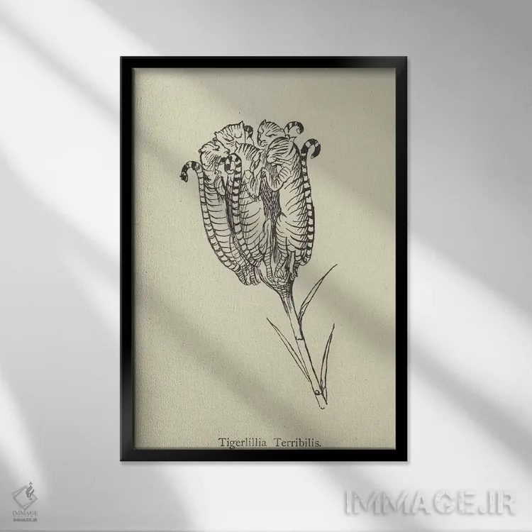 تابلو تایگرلیلیا ترابیلیس (گونه گیاهی) اثر ادوارد لیر (شاعر و تصویرگر انگلیسی) - نمای قابدار مشکی