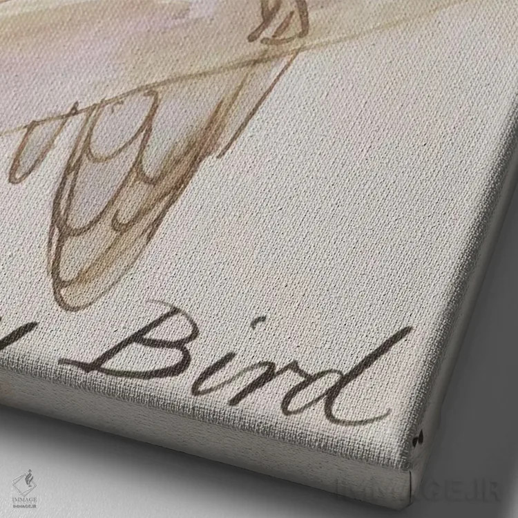 تابلو from 'Sixteen Drawings of Comic Birds',پرنده خاکستری، از "شانزده طرح پرندگان طنزآمیز" اثر ادوارد لیر (شاعر و تصویرگر انگلیسی) - نمای نزدیک بافت بوم