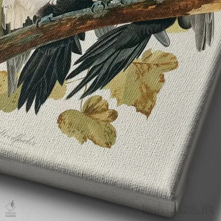تابلو Birds Of America),دارکوب کلهسرخ (لوح ۱۱۱، پرندگان آمریکا) اثر جان جیمز آدوبون (نقاش و پرندهشناس) - نمای نزدیک بافت بوم